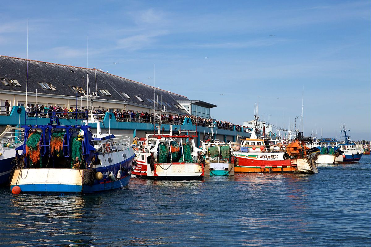 le retour de pêche des chalutiers au Guilvinec