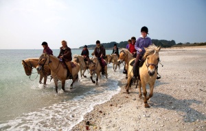 camping plage partenaires loisirs poney enfant