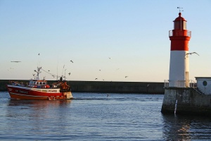Randonnées et visite du Finistère - Port du Guilvinec