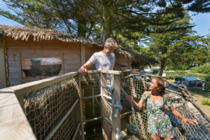 Camping La Plage Hébergement