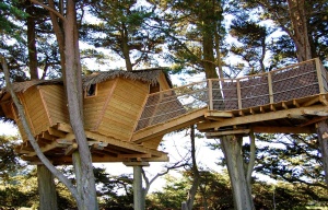 Cabane dans les arbres